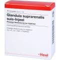 GLANDULA SUPRARENALIS suis Injeel Ampullen – Bild 3