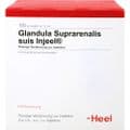 GLANDULA SUPRARENALIS suis Injeel Ampullen – Bild 1