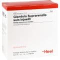 GLANDULA SUPRARENALIS suis Injeel Ampullen – Bild 2