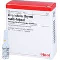 GLANDULA THYMI suis Injeel Ampullen – Bild 3