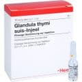 GLANDULA THYMI suis Injeel Ampullen – Bild 4