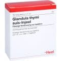 GLANDULA THYMI suis Injeel Ampullen – Bild 2