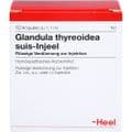 GLANDULA THYREOIDEA suis Injeel Ampullen – Bild 1