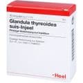 GLANDULA THYREOIDEA suis Injeel Ampullen – Bild 5