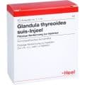 GLANDULA THYREOIDEA suis Injeel Ampullen – Bild 2