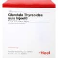 GLANDULA THYREOIDEA suis Injeel Ampullen – Bild 1