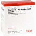 GLANDULA THYREOIDEA suis Injeel Ampullen – Bild 2