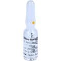 GRAPHITES HOMACCORD Ampullen – Bild 6