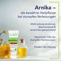 PROFELAN Salbe n.Müller-Wohlfahrt – Bild 5