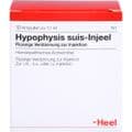 HYPOPHYSIS SUIS Injeel Ampullen – Bild 1