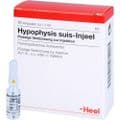 HYPOPHYSIS SUIS Injeel Ampullen – Bild 3