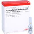HYPOPHYSIS SUIS Injeel Ampullen – Bild 4