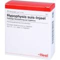 HYPOPHYSIS SUIS Injeel Ampullen – Bild 5