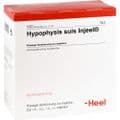 HYPOPHYSIS SUIS Injeel Ampullen – Bild 2