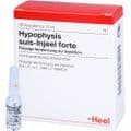 HYPOPHYSIS SUIS Injeel forte Ampullen – Bild 4