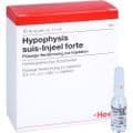 HYPOPHYSIS SUIS Injeel forte Ampullen – Bild 5