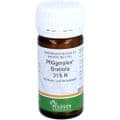 PFLÜGERPLEX Gratiola 315 H Tabletten – Bild 6