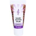 SALBEIBLÜTEN-Salbe – Bild 5