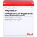 MAGNESIUM PHOSPHORICUM INJEEL forte Ampullen – Bild 1