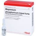 MAGNESIUM PHOSPHORICUM INJEEL forte Ampullen – Bild 3