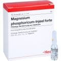 MAGNESIUM PHOSPHORICUM INJEEL forte Ampullen – Bild 4