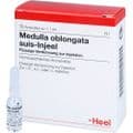 MEDULLA OBLONGATA suis Injeel Ampullen – Bild 3