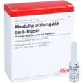 MEDULLA OBLONGATA suis Injeel Ampullen – Bild 4