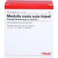 MEDULLA OSSIS suis Injeel Ampullen – Bild 1