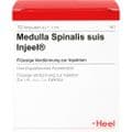 MEDULLA SPINALIS suis Injeel Ampullen – Bild 1