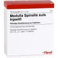 MEDULLA SPINALIS suis Injeel Ampullen – Bild 2
