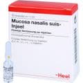 MUCOSA nasalis suis Injeel Ampullen – Bild 3