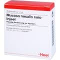 MUCOSA nasalis suis Injeel Ampullen – Bild 5