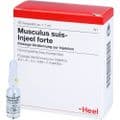 MUSCULUS SUIS Injeel forte Ampullen – Bild 3