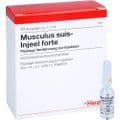 MUSCULUS SUIS Injeel forte Ampullen – Bild 4