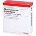 MUSCULUS SUIS Injeel forte Ampullen – Bild 5