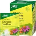 ECHINACEA SANDDORN Tee Kraft der Natur Salus Fbtl. – Bild 2