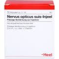 NERVUS OPTICUS suis Injeel Ampullen – Bild 1