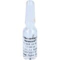 NUX VOMICA HOMACCORD Ampullen – Bild 6