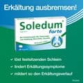 SOLEDUM Kapseln forte 200 mg – Bild 8