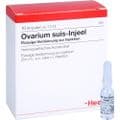 OVARIUM SUIS Injeel Ampullen – Bild 5