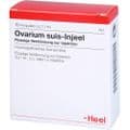 OVARIUM SUIS Injeel Ampullen – Bild 3