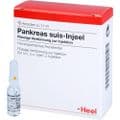 PANKREAS SUIS Injeel Ampullen – Bild 4