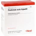 PANKREAS SUIS Injeel Ampullen – Bild 2