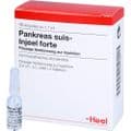 PANKREAS SUIS Injeel forte Ampullen – Bild 4
