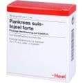 PANKREAS SUIS Injeel forte Ampullen – Bild 3
