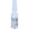 PANKREAS SUIS Injeel forte Ampullen – Bild 6