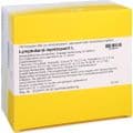 LYMPHDIARAL INJEKTOPAS L Ampullen – Bild 2