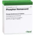 PHOSPHOR HOMACCORD Ampullen – Bild 2