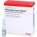 PLACENTA SUIS Injeel Ampullen – Bild 3