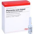 PLACENTA SUIS Injeel Ampullen – Bild 4